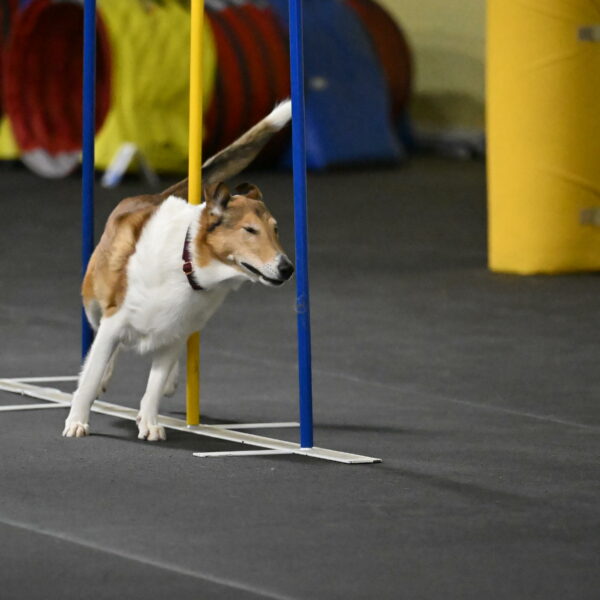 Ramble-Crawford-04254