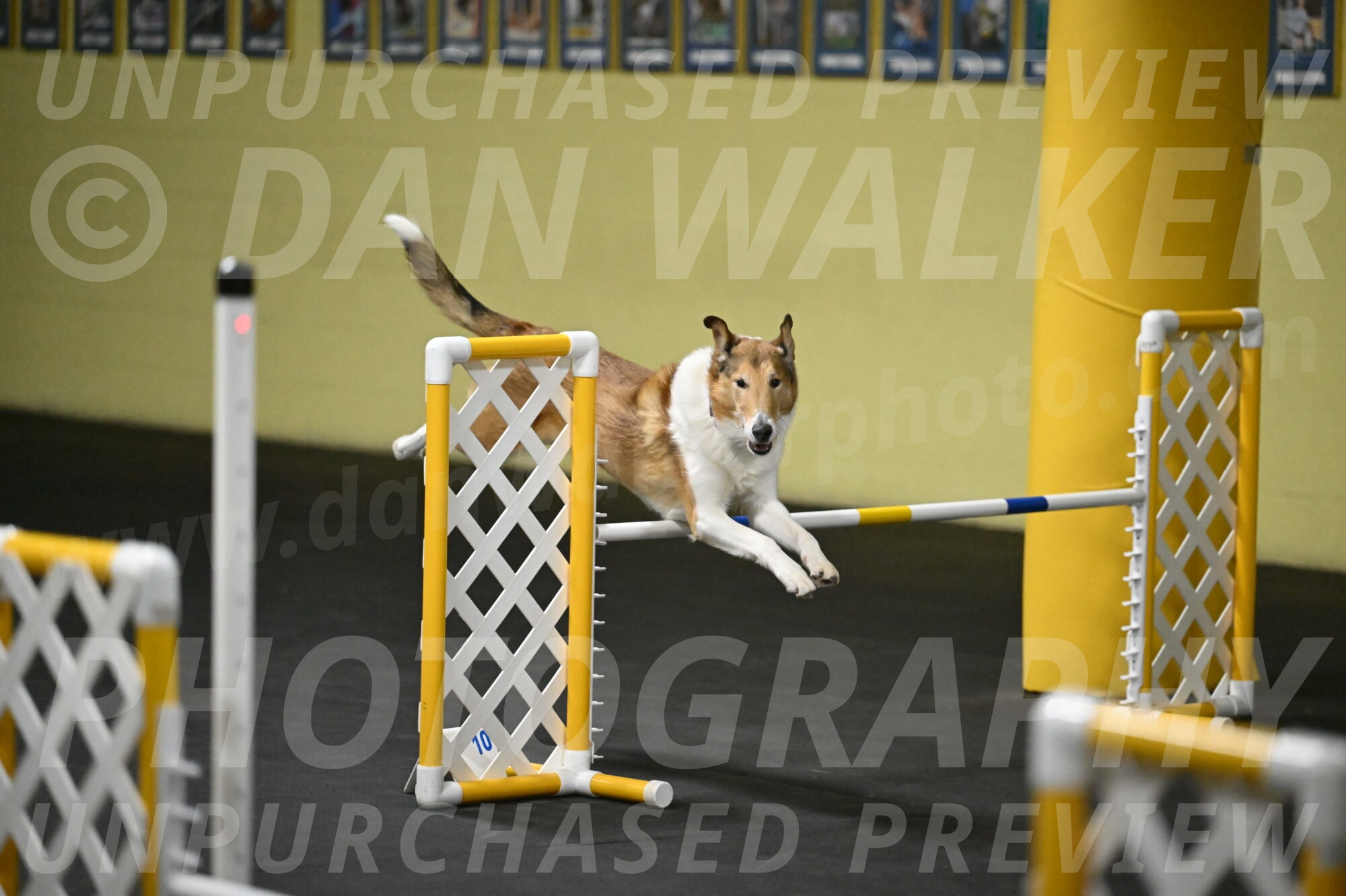 Ramble-Crawford-04259