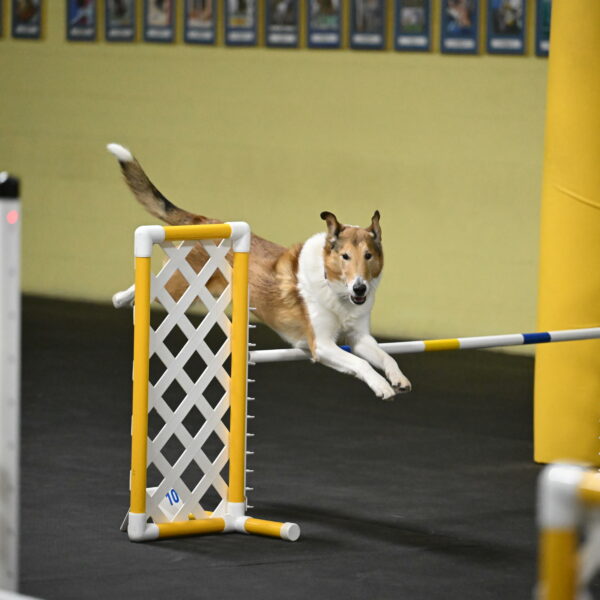 Ramble-Crawford-04259