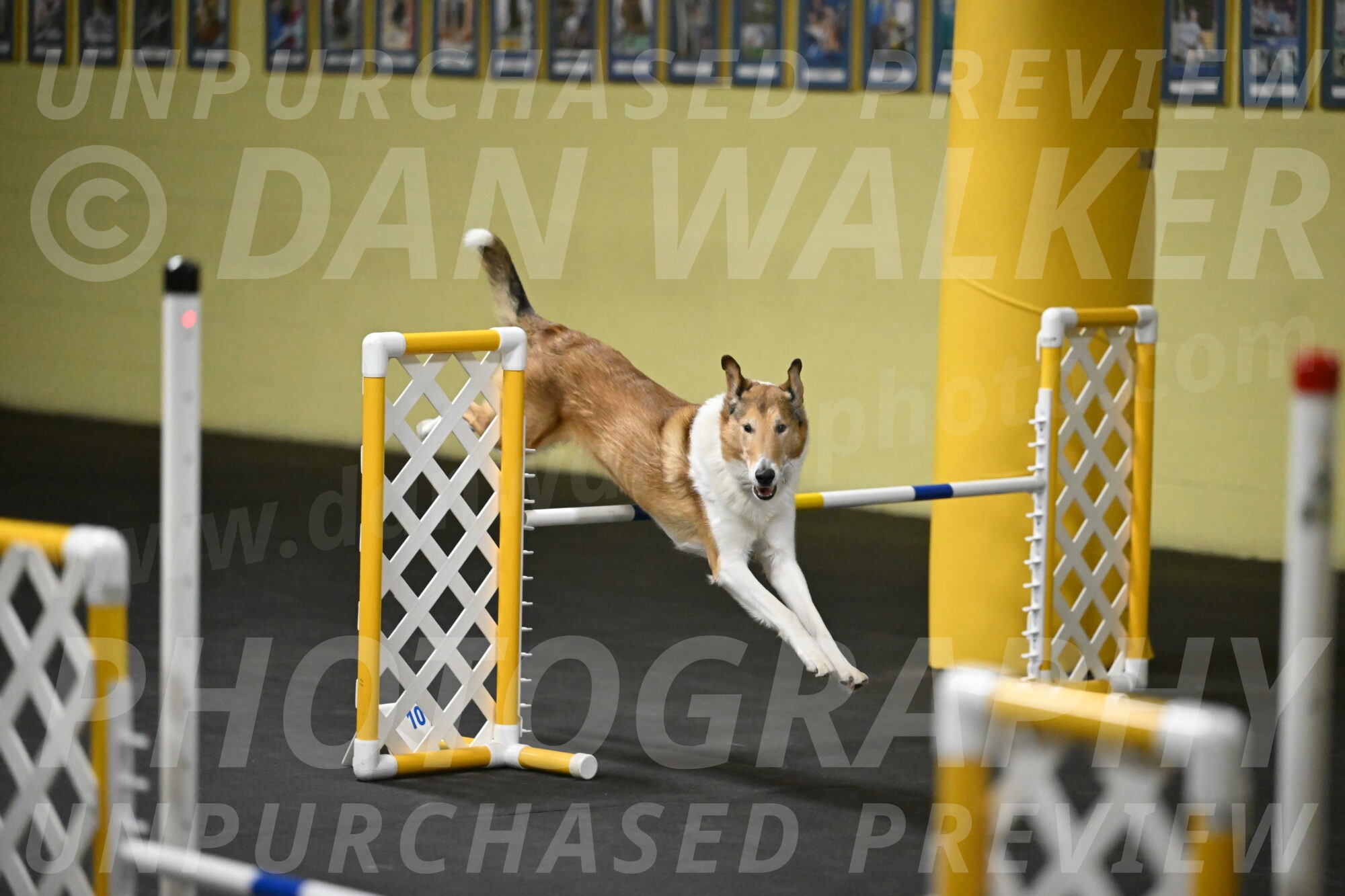 Ramble-Crawford-04260