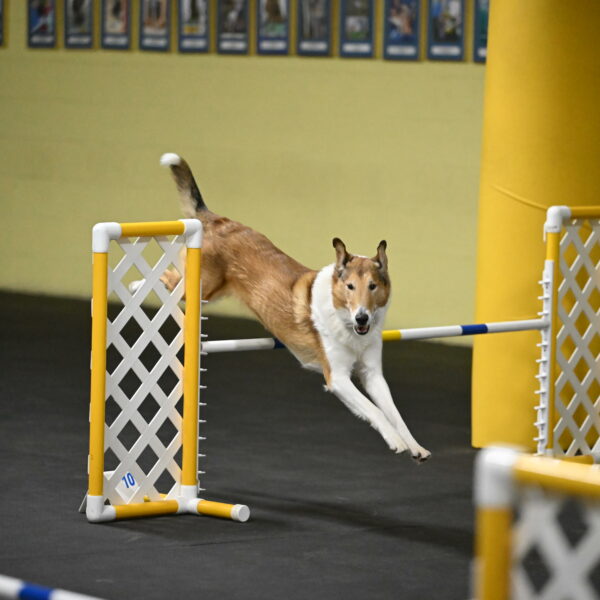 Ramble-Crawford-04260