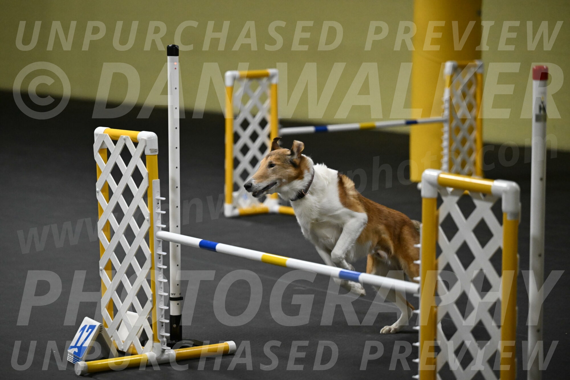 Ramble-Crawford-04263