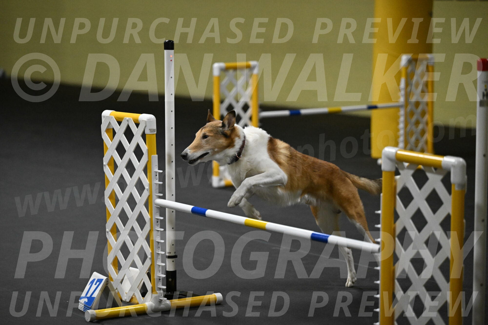 Ramble-Crawford-04264