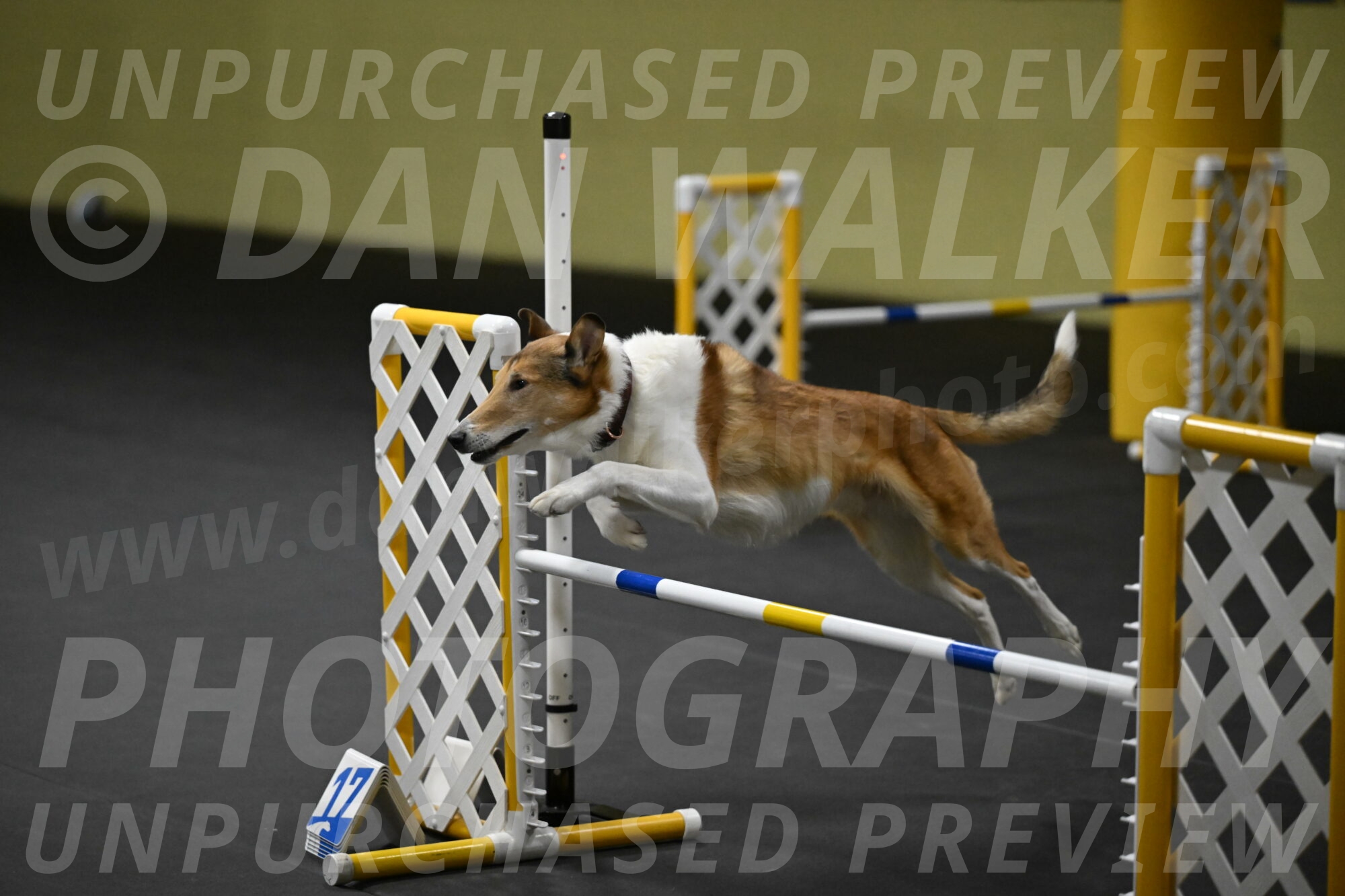 Ramble-Crawford-04265