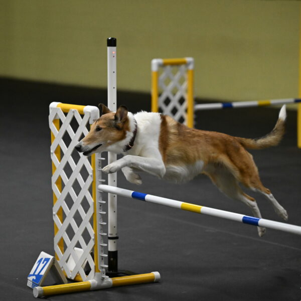 Ramble-Crawford-04265