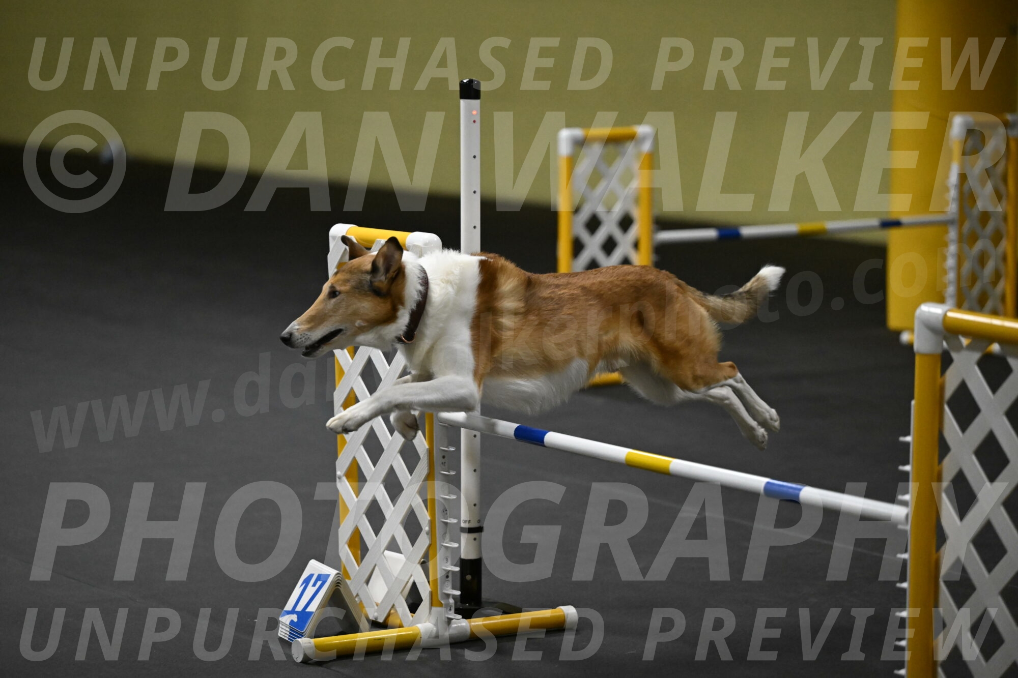 Ramble-Crawford-04266