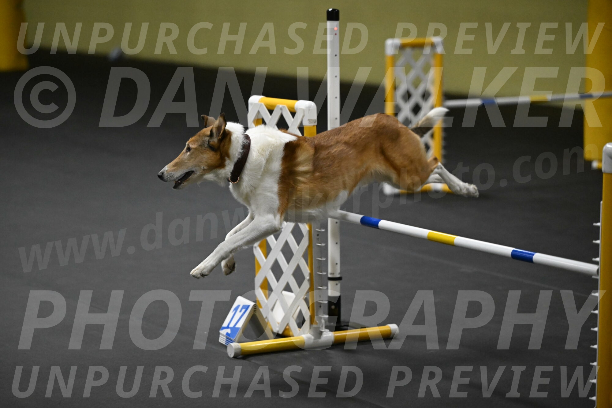 Ramble-Crawford-04267