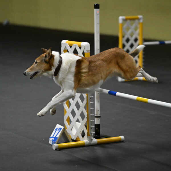 Ramble-Crawford-04267