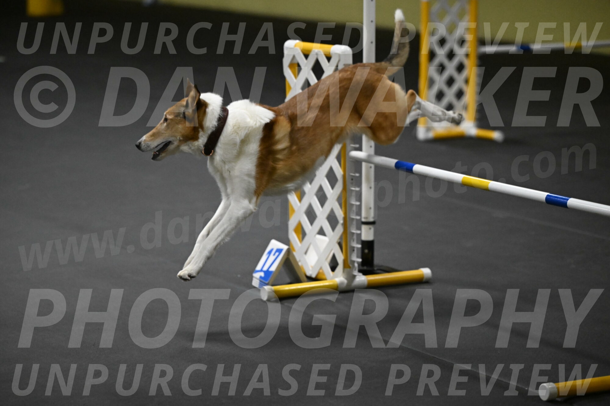 Ramble-Crawford-04268