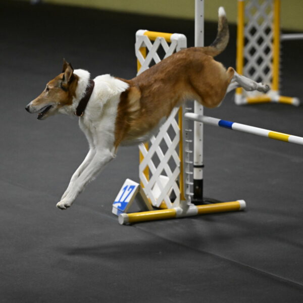 Ramble-Crawford-04268