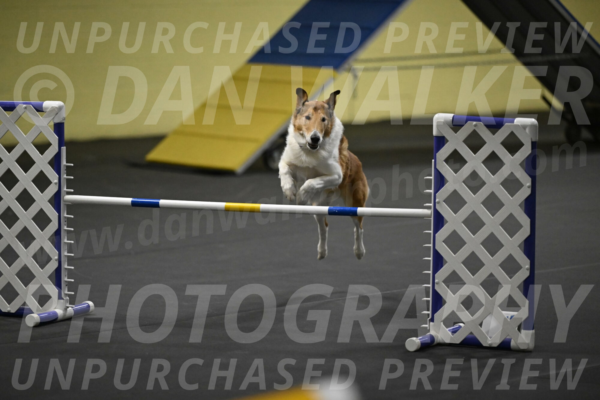 Ramble-Crawford-04274