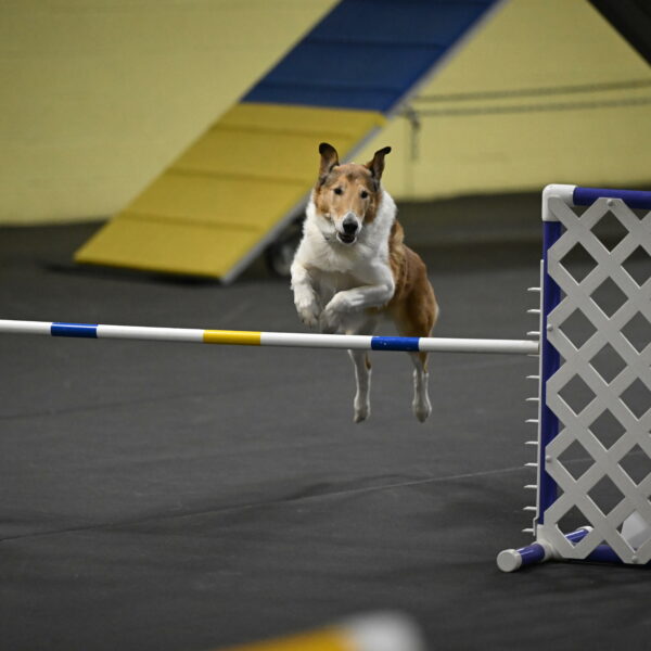 Ramble-Crawford-04274