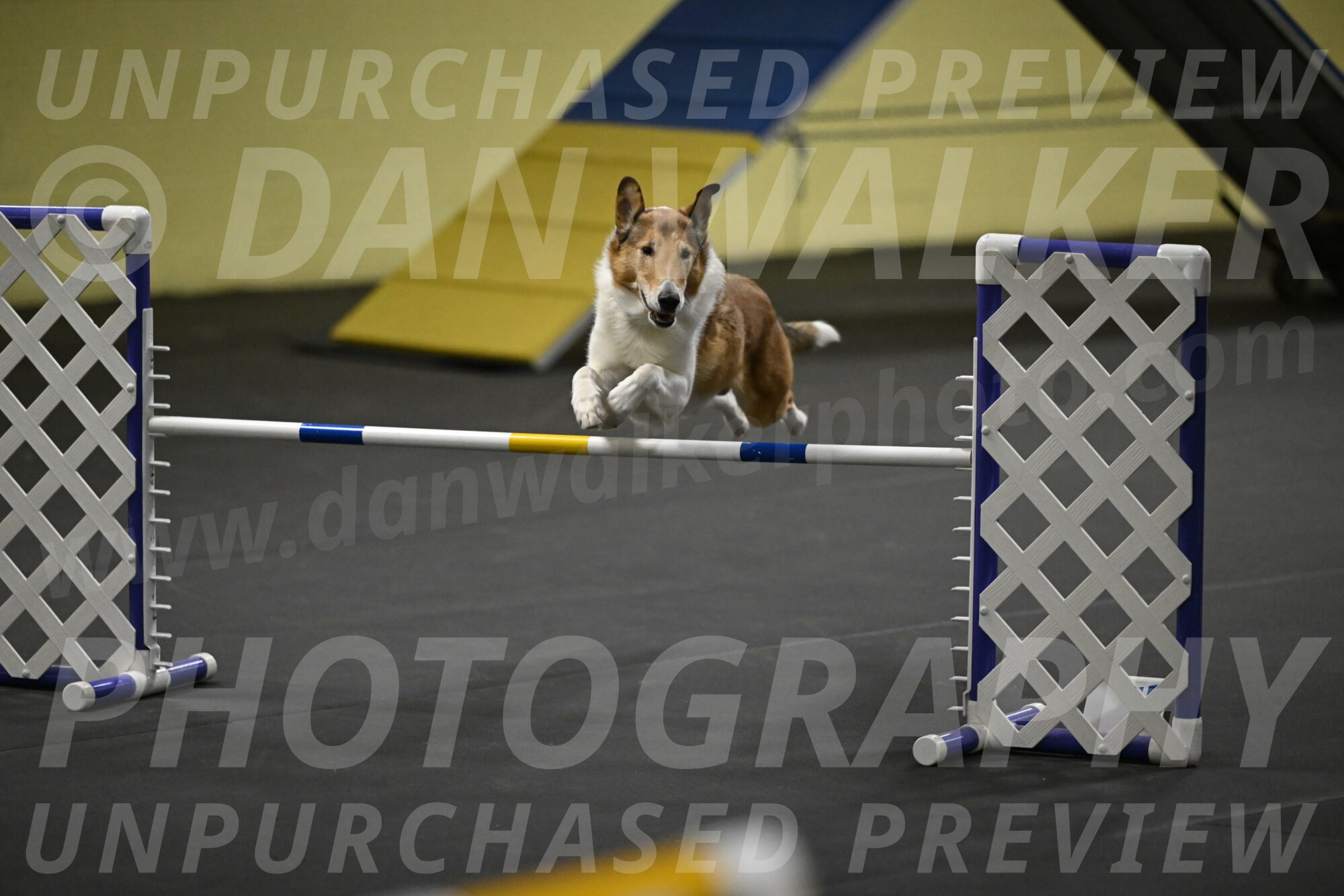 Ramble-Crawford-04275