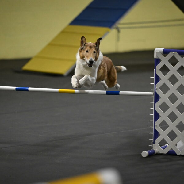 Ramble-Crawford-04275