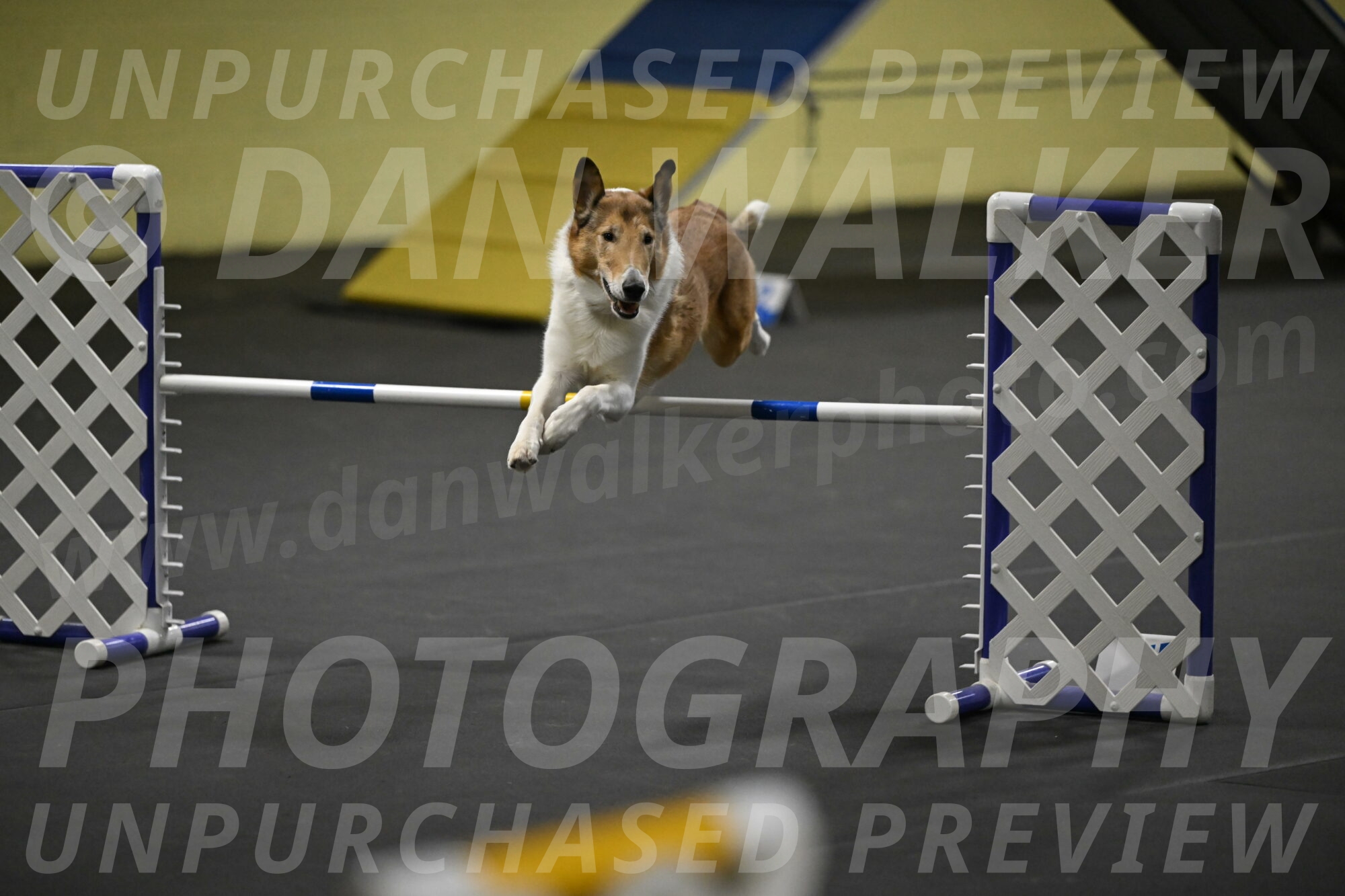 Ramble-Crawford-04276