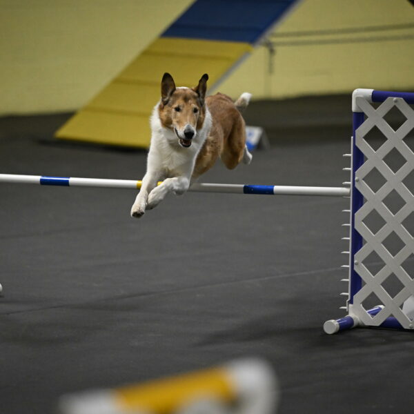 Ramble-Crawford-04276