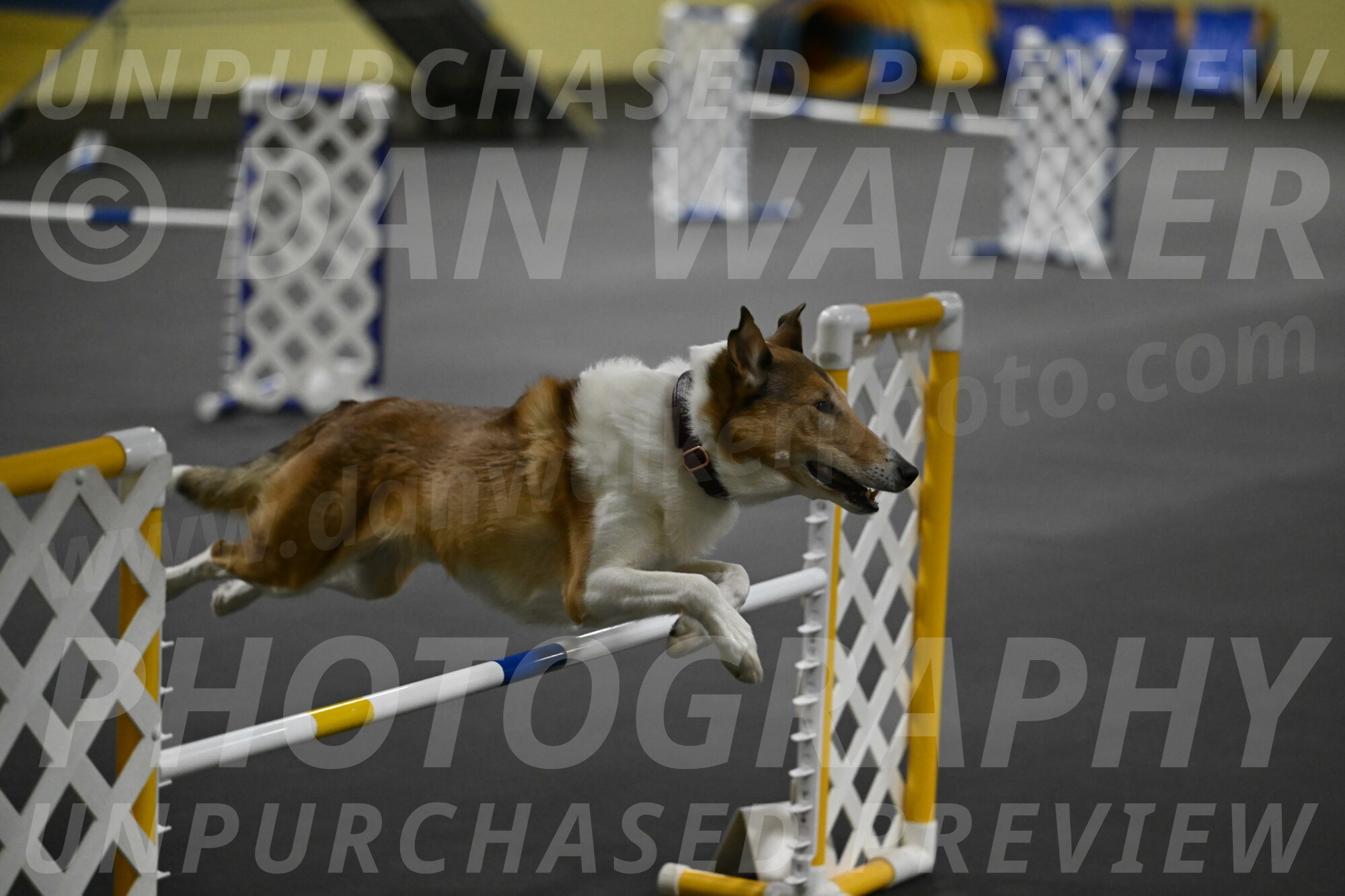 Ramble-Crawford-04282