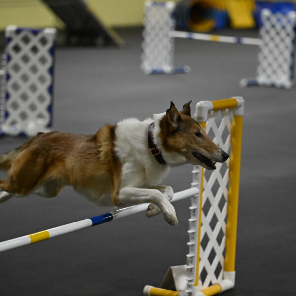 Ramble-Crawford-04282