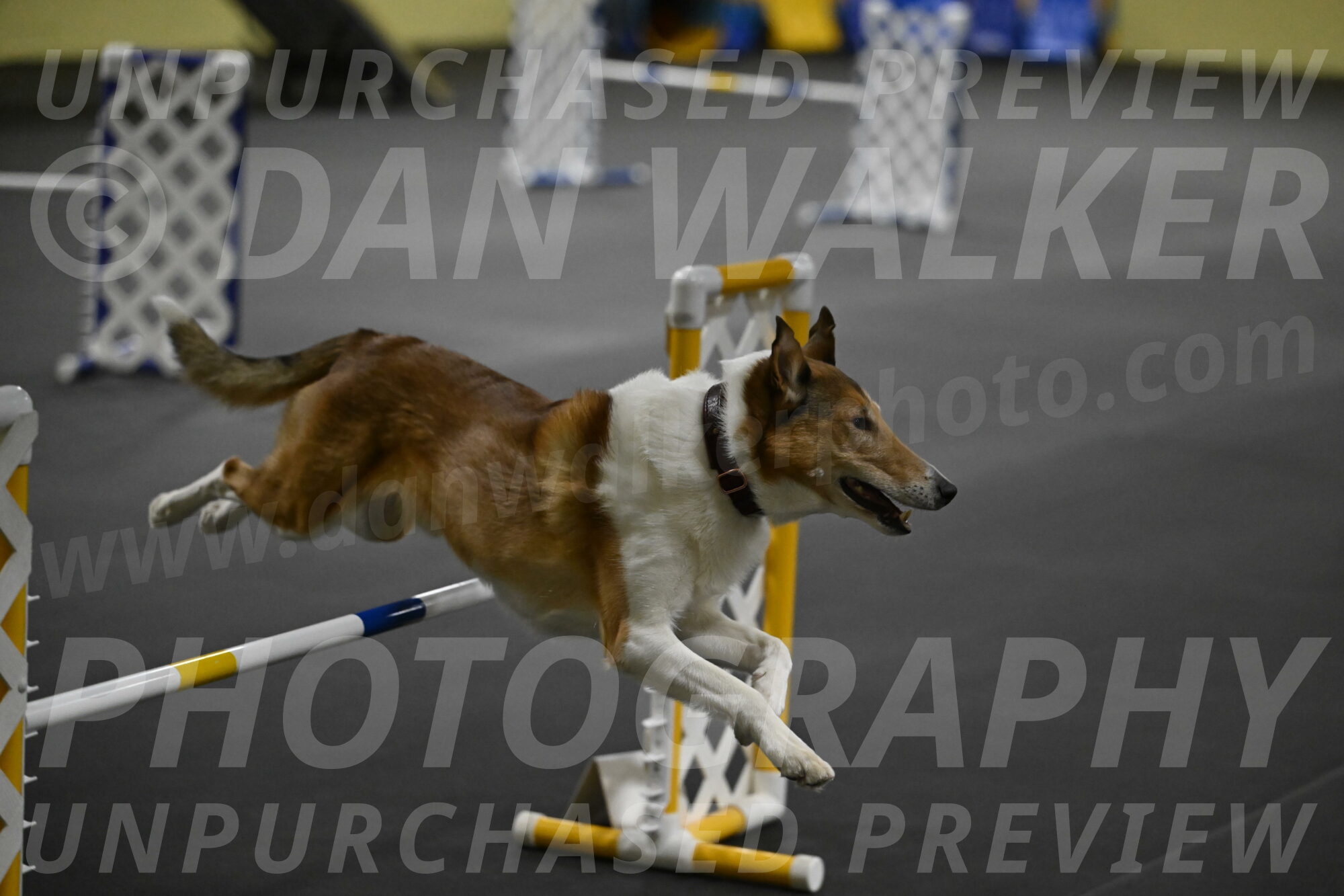 Ramble-Crawford-04283