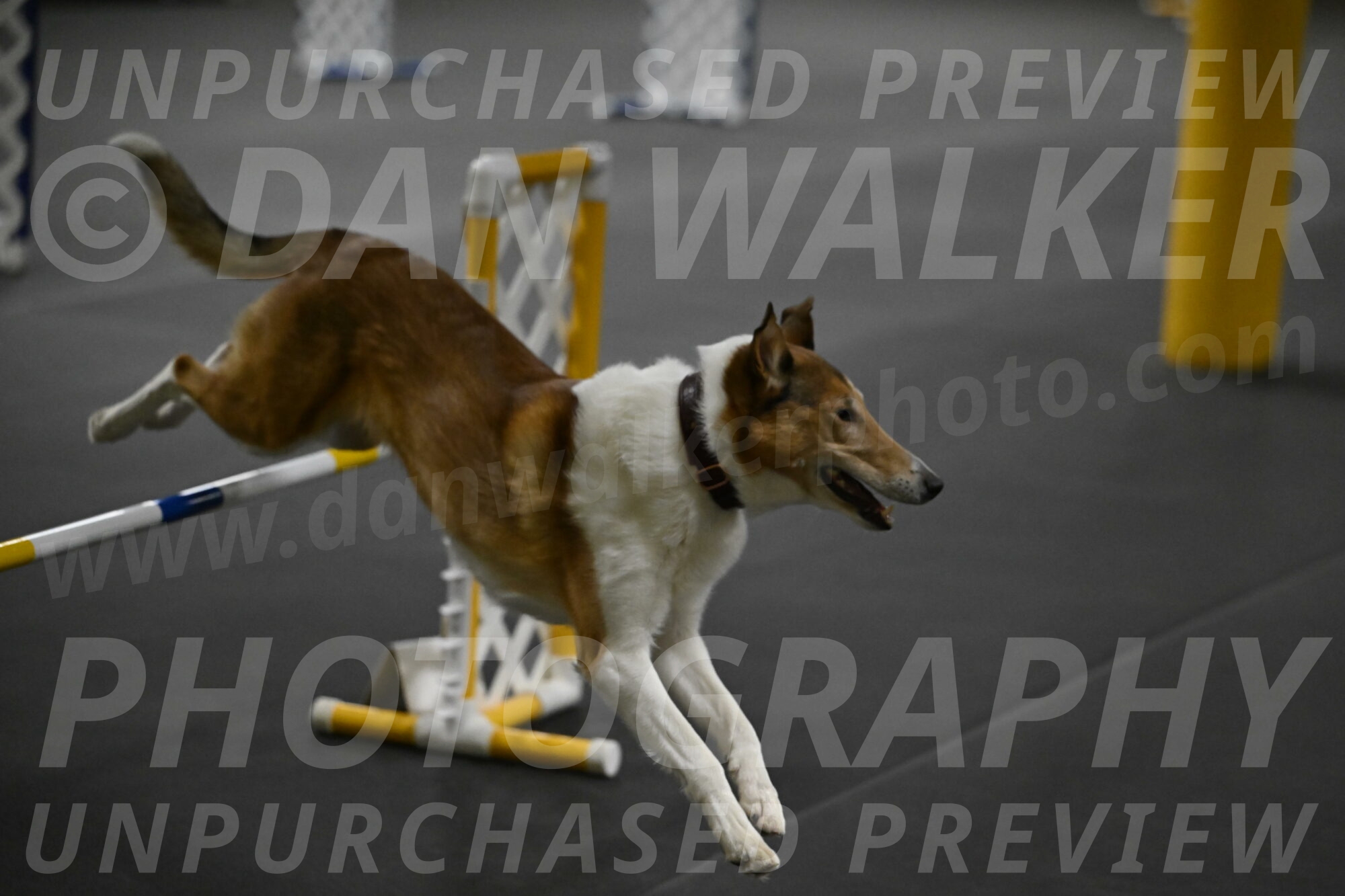 Ramble-Crawford-04284