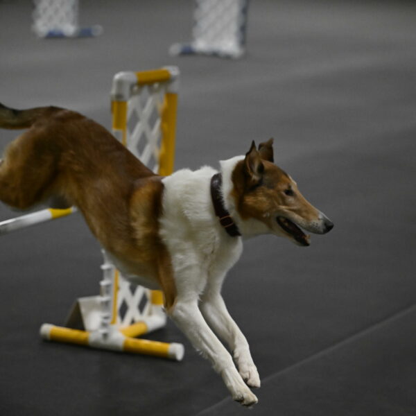 Ramble-Crawford-04284