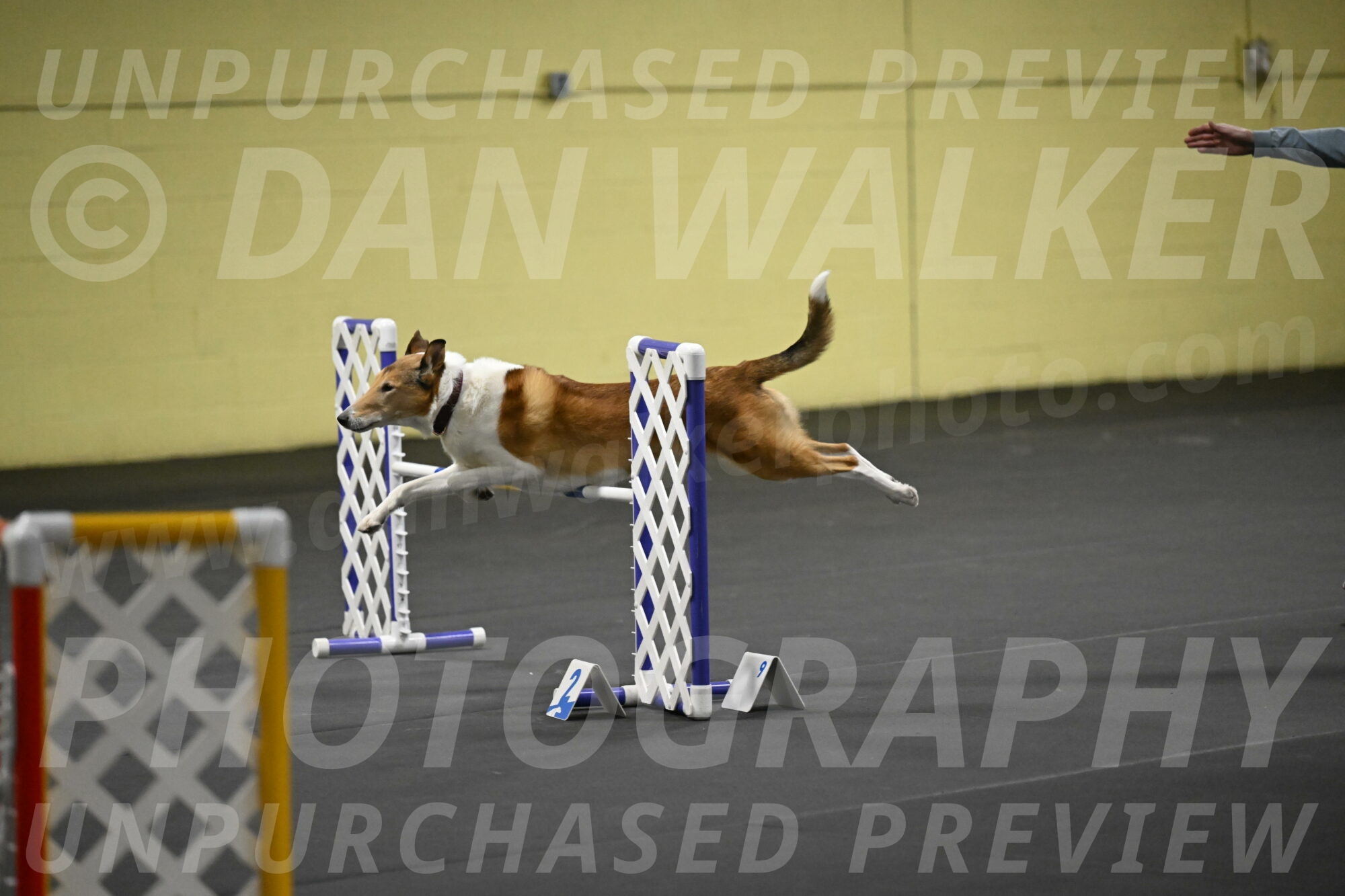 Ramble-Crawford-04290