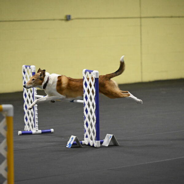 Ramble-Crawford-04290