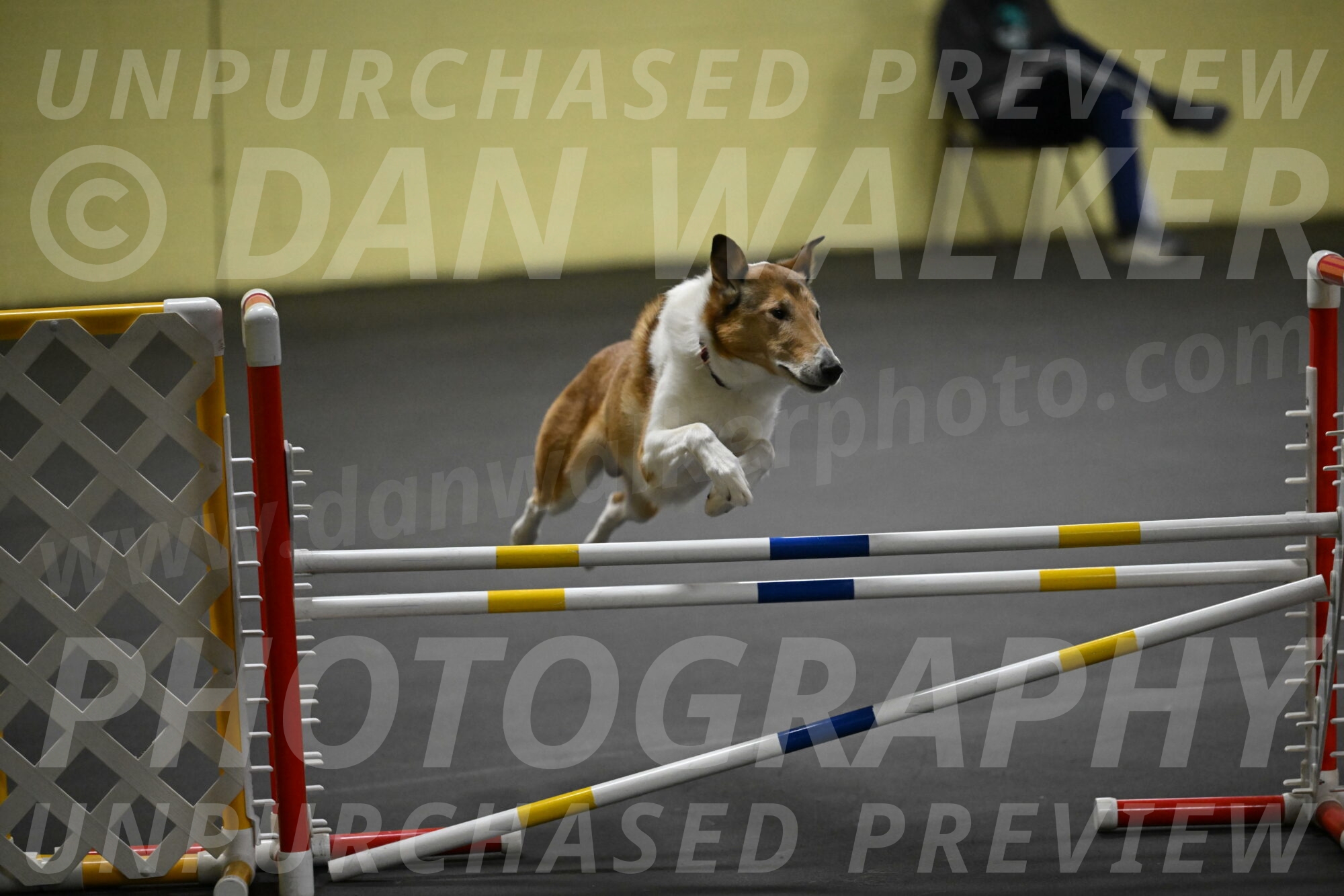 Ramble-Crawford-04294