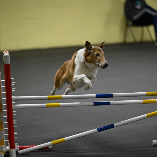 Ramble-Crawford-04294