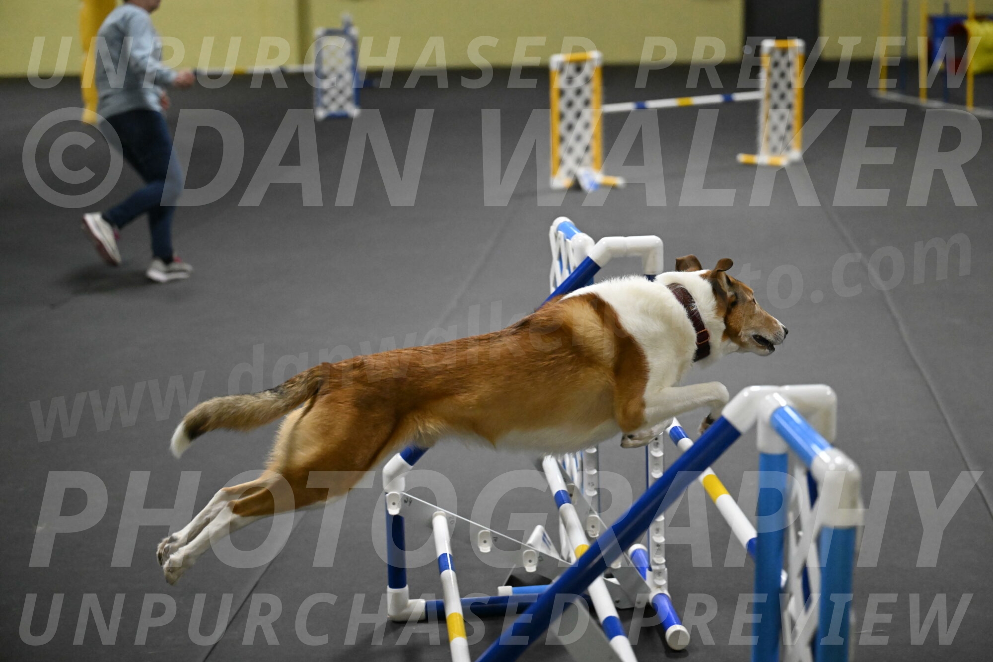 Ramble-Crawford-04301