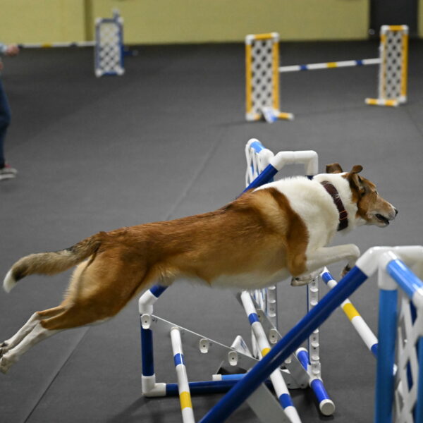 Ramble-Crawford-04301