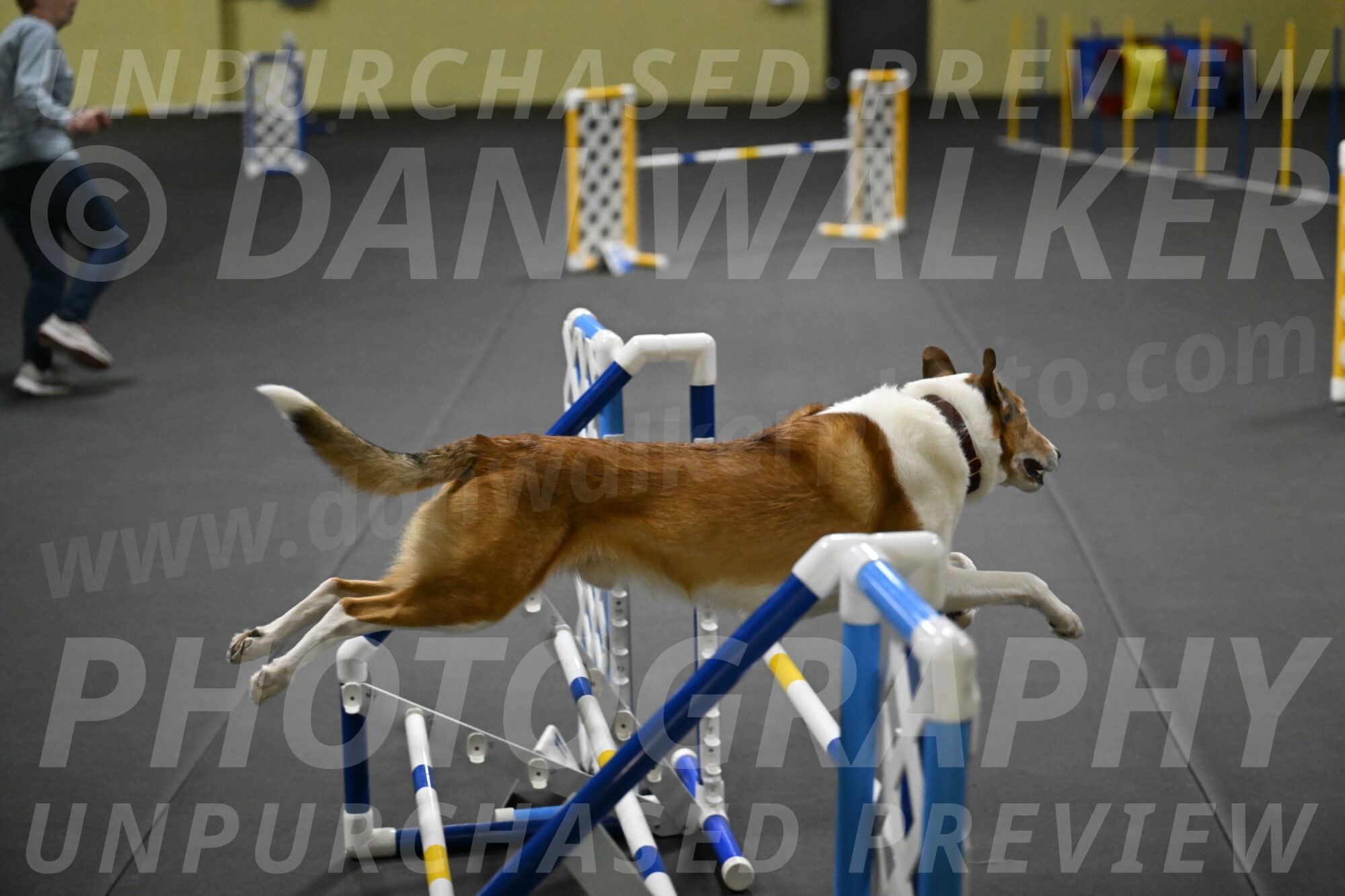 Ramble-Crawford-04302