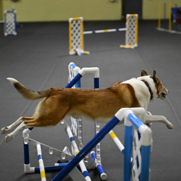 Ramble-Crawford-04302