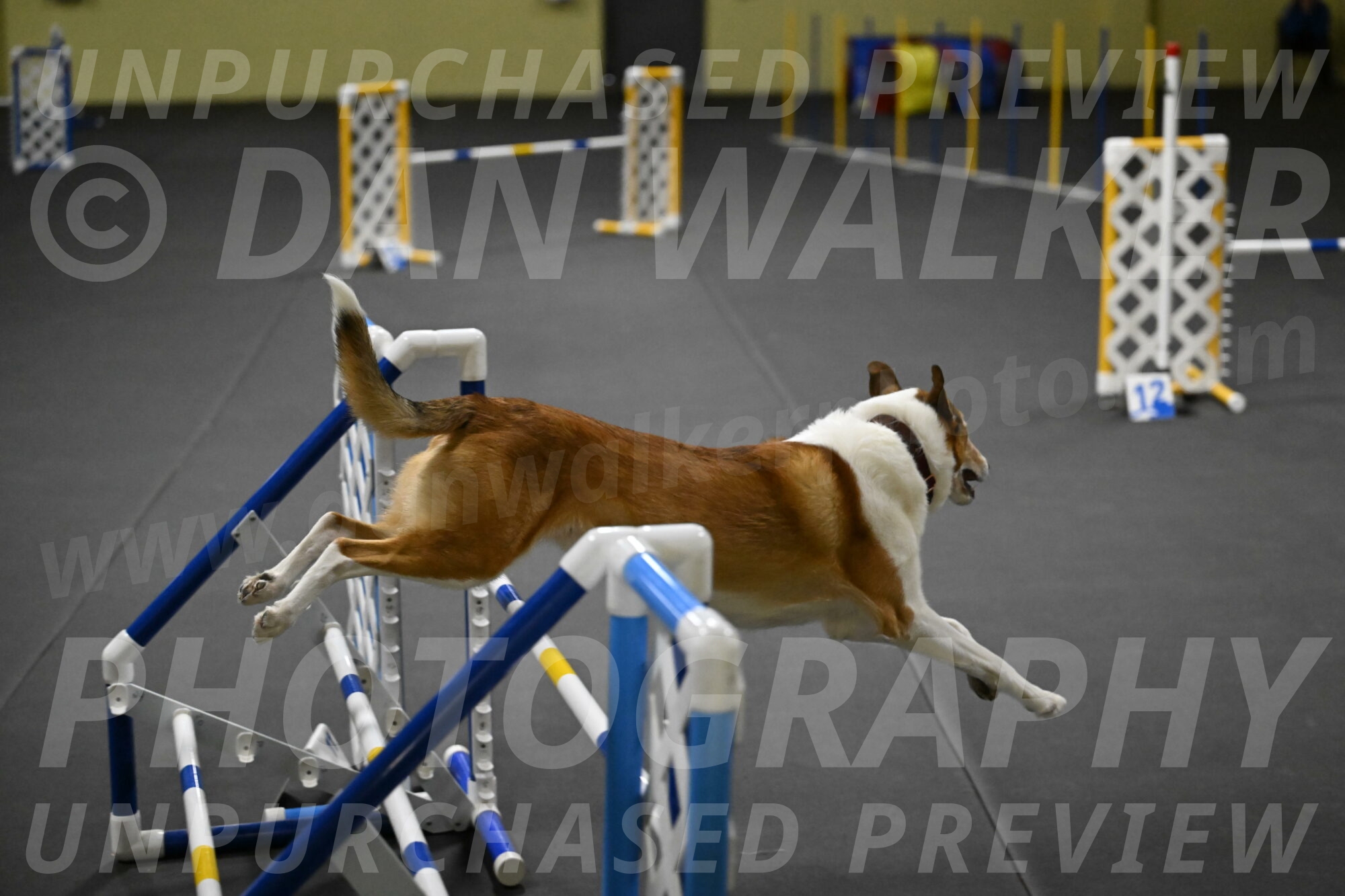 Ramble-Crawford-04303