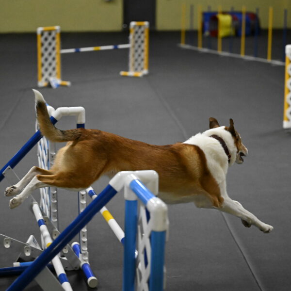 Ramble-Crawford-04303