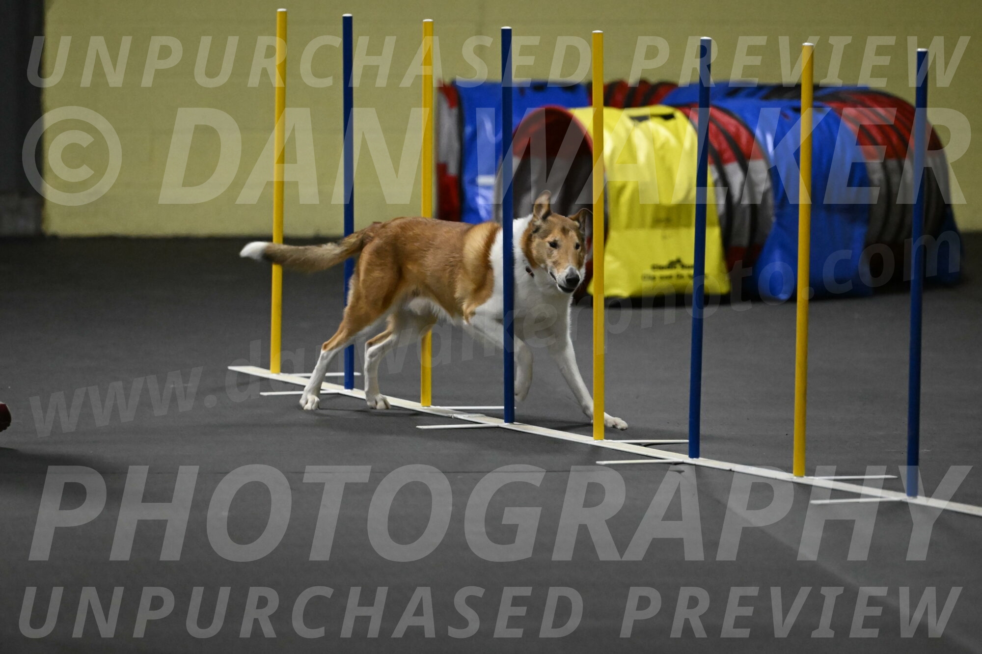 Ramble-Crawford-04310