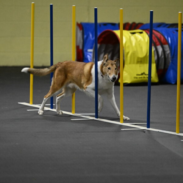 Ramble-Crawford-04310