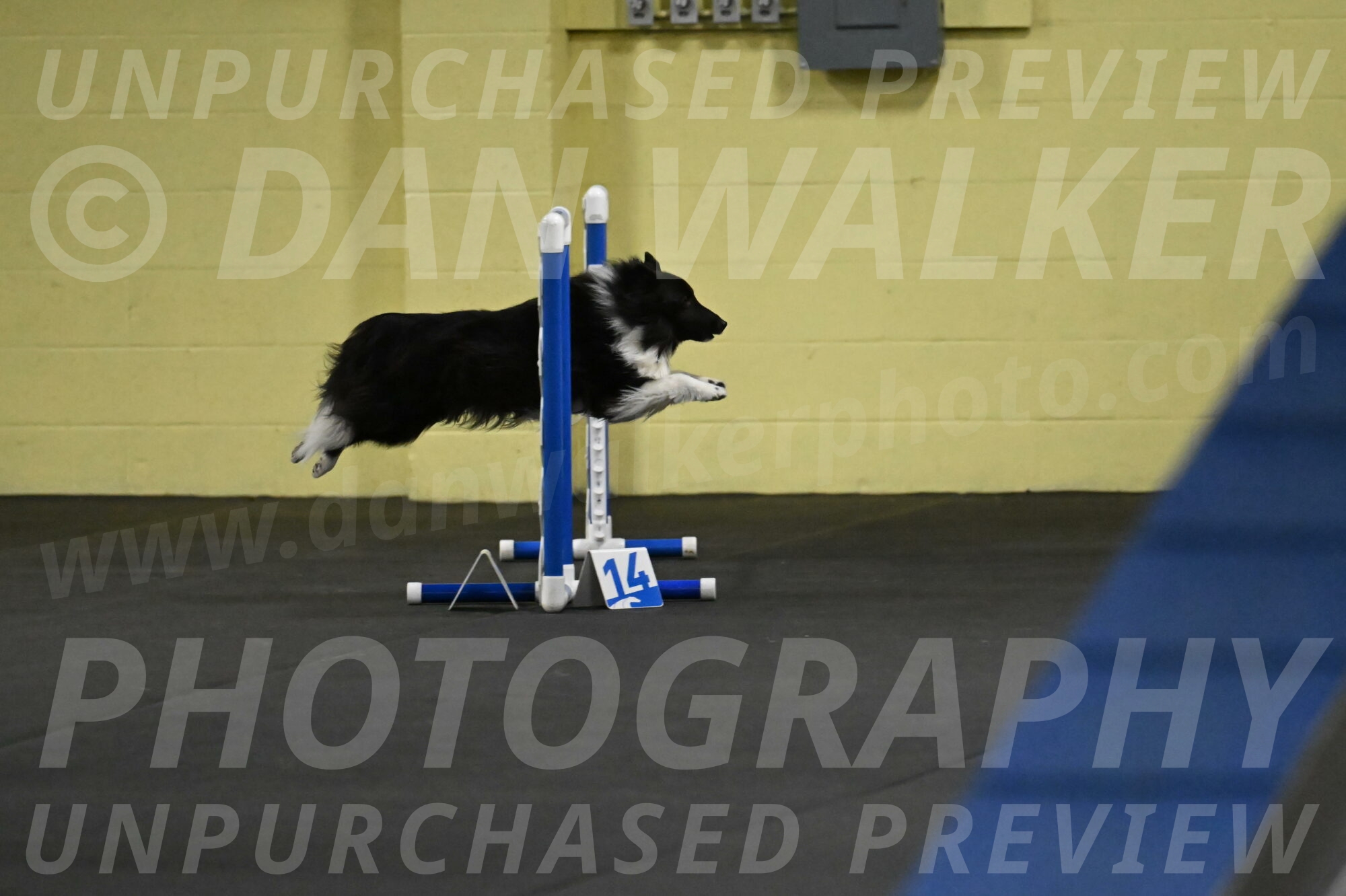 Rigel-Weinrich-00800