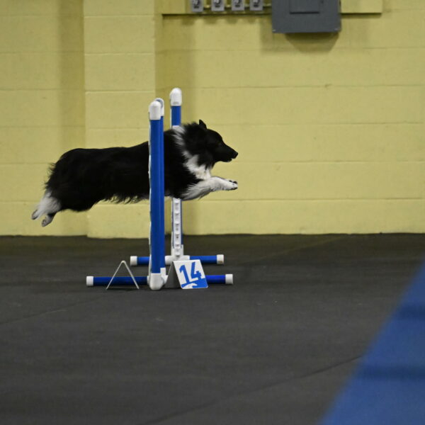 Rigel-Weinrich-00800