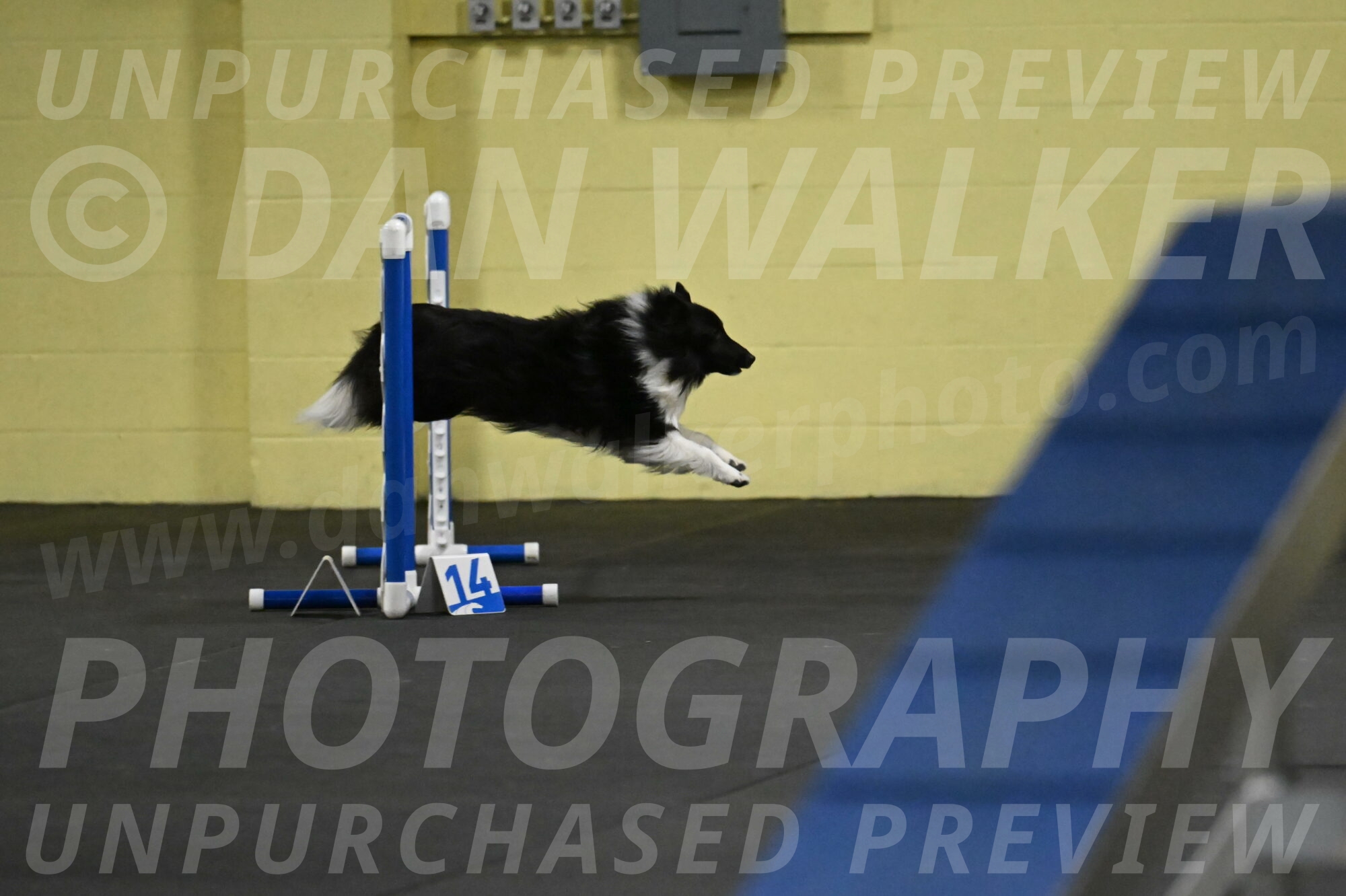 Rigel-Weinrich-00801