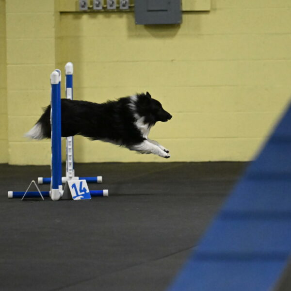 Rigel-Weinrich-00801