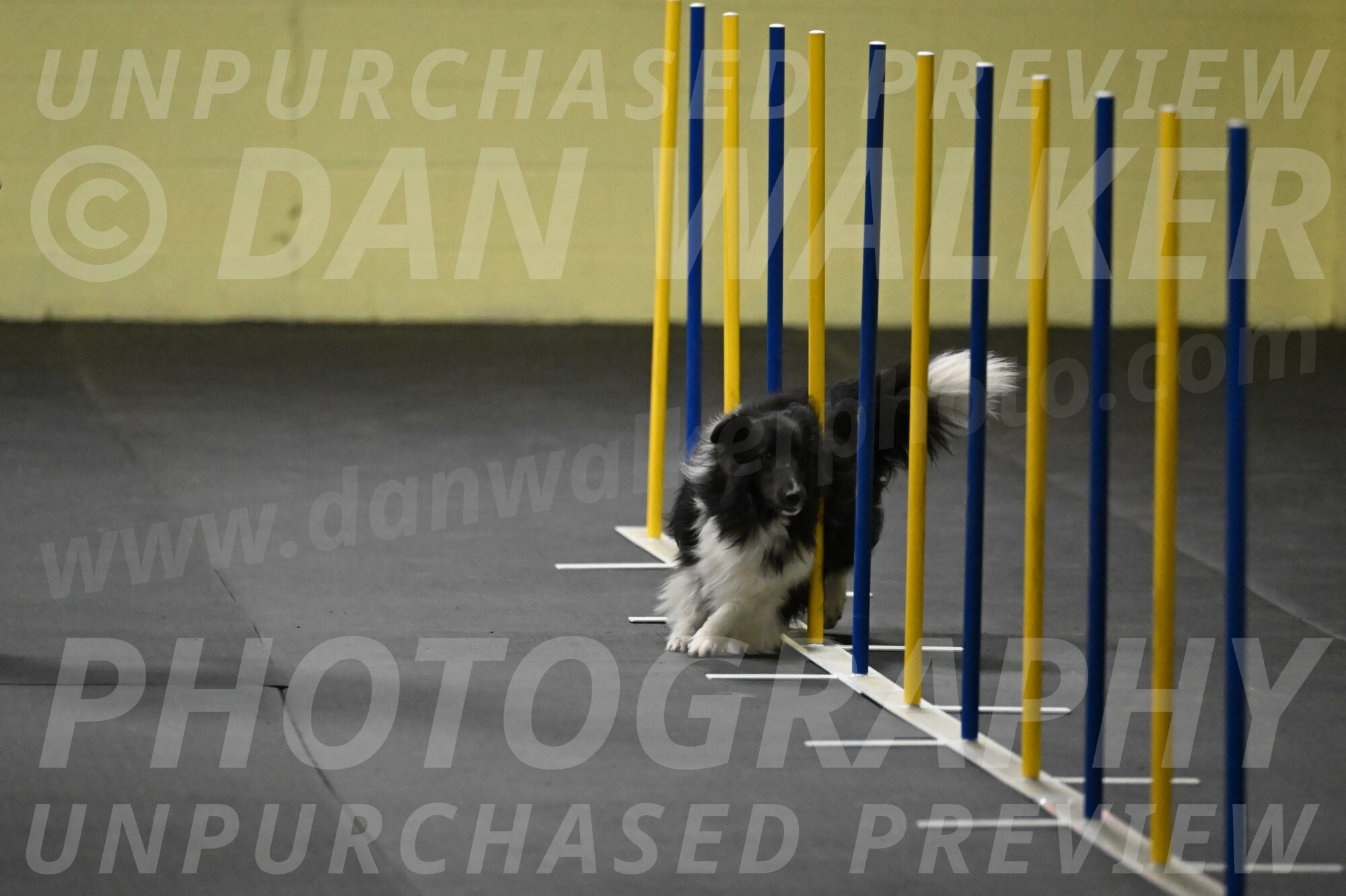 Rigel-Weinrich-00813