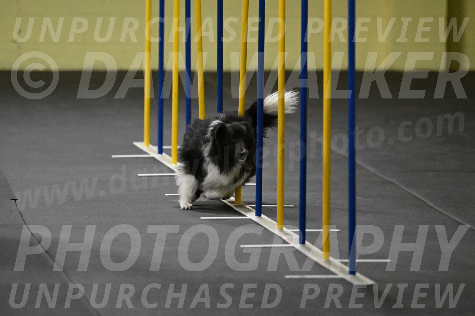 Rigel-Weinrich-00820