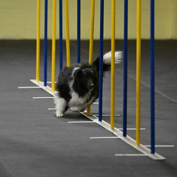 Rigel-Weinrich-00820