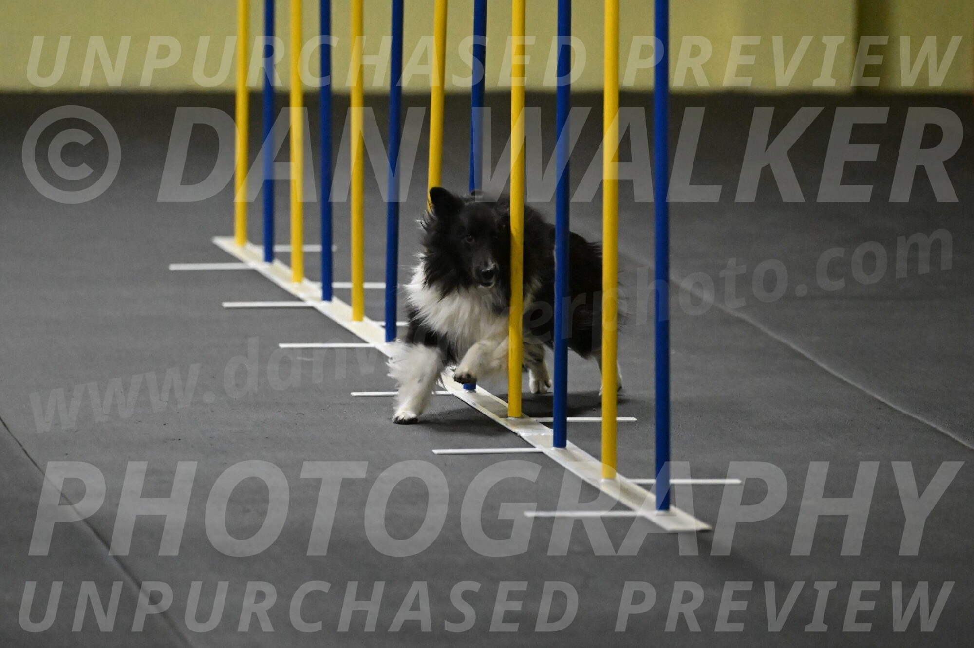 Rigel-Weinrich-00824