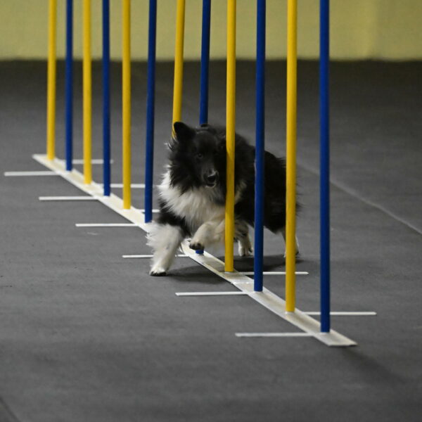 Rigel-Weinrich-00824