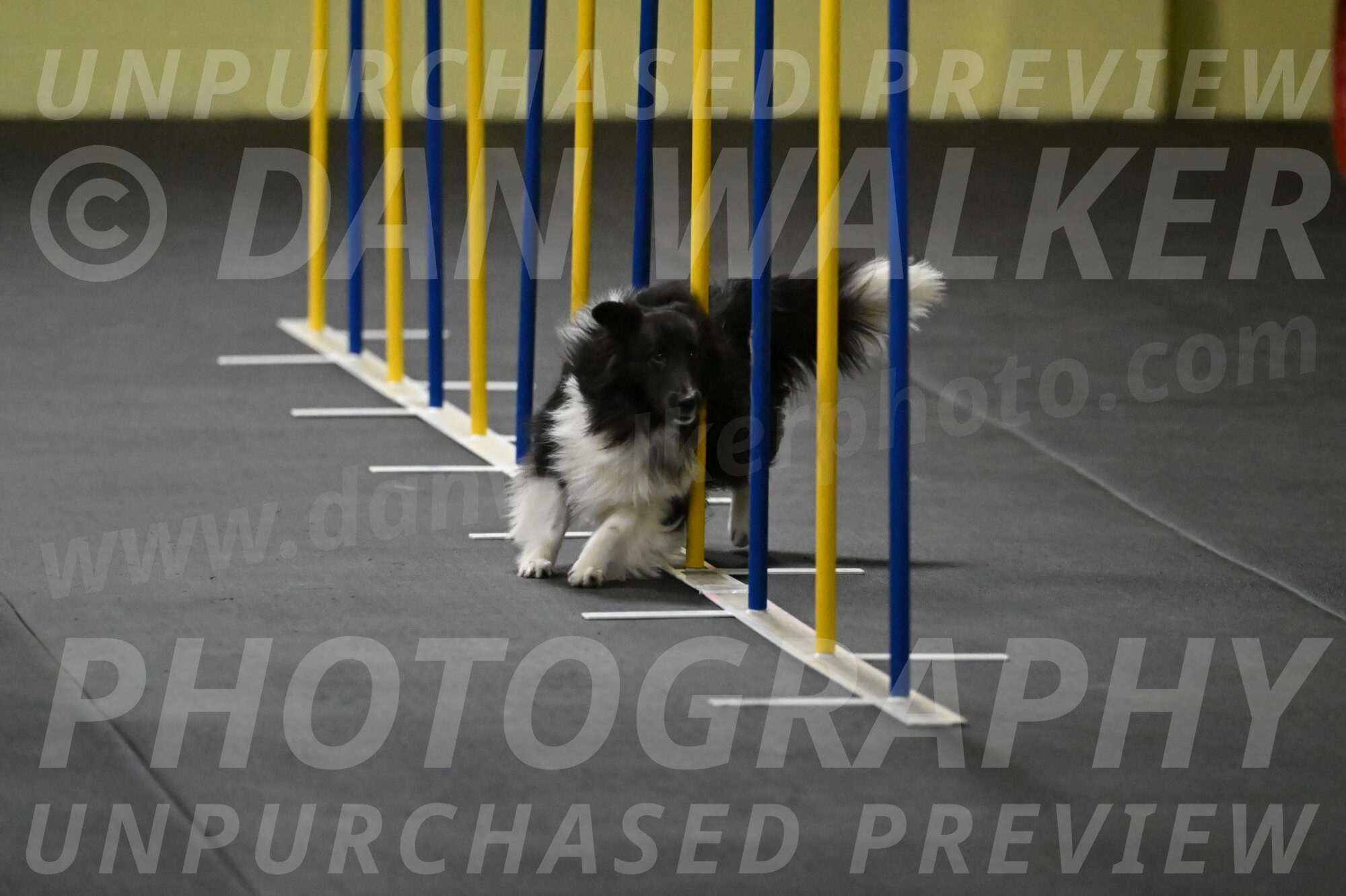 Rigel-Weinrich-00825