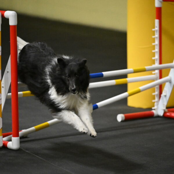 Rigel-Weinrich-00843