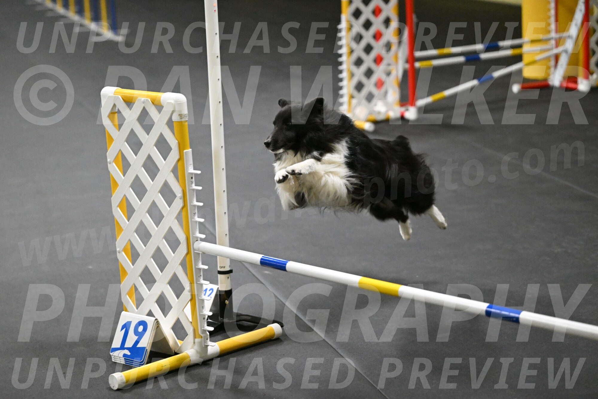 Rigel-Weinrich-00848