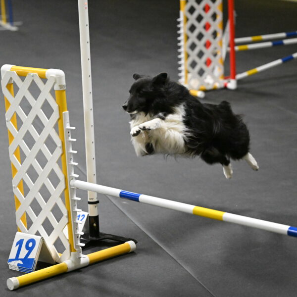 Rigel-Weinrich-00848